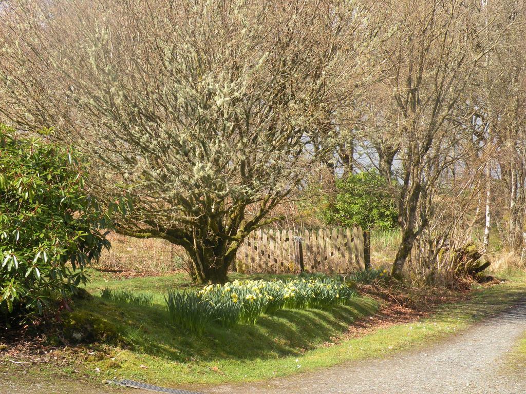 Mchugh And Loudon Cottages Saint Catherines ภายนอก รูปภาพ